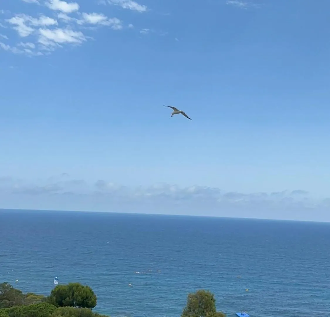Beachfront Rooftop Haven Studio In Playa De Aro Platja d'Aro Apartment